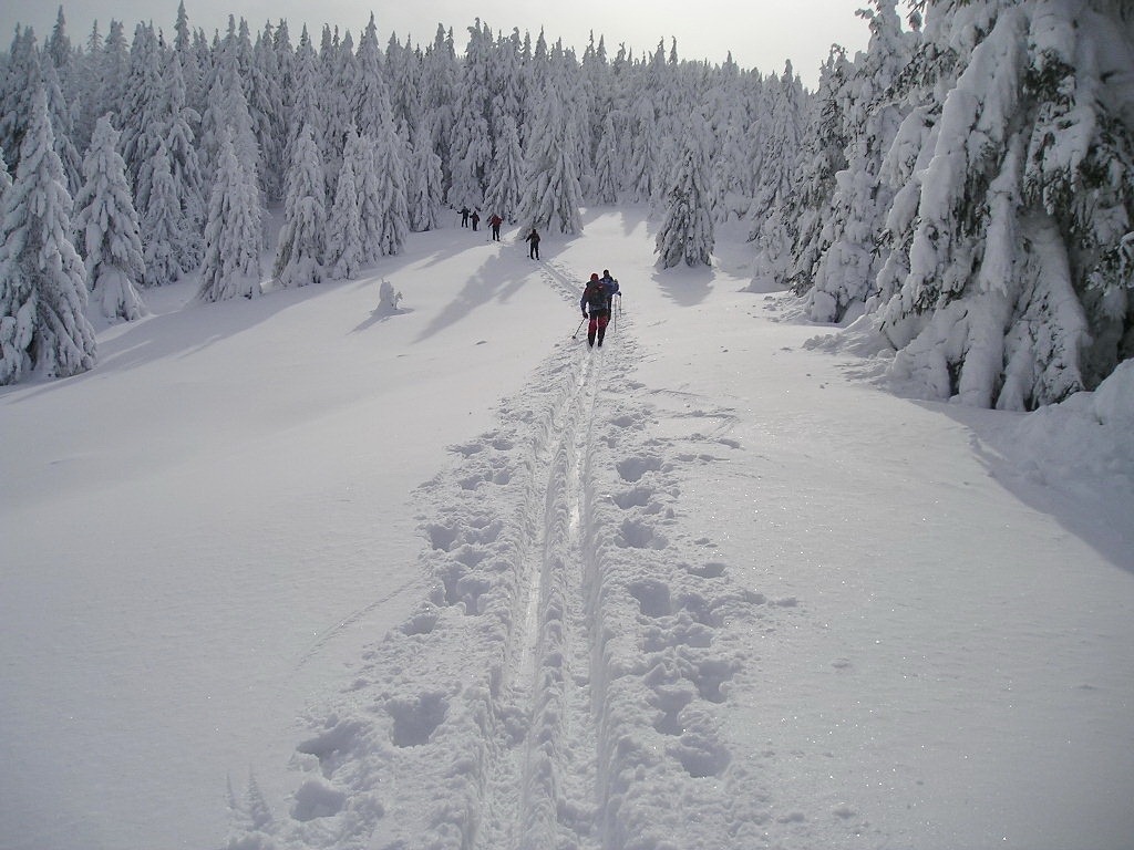 Cross country touring around the Kingshill