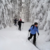 Cross country touring around the Kingshill