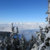 Langlauftouren um Königsalm