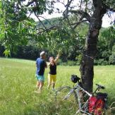 Weinradwege in drei Ländern