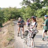 Weinradwege in drei Ländern