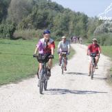 Weinradwege in drei Ländern