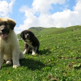 Hiking Romania