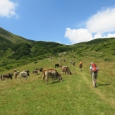 Hiking Romania