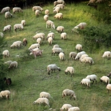 Hiking Romania