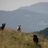 Hiking Romania