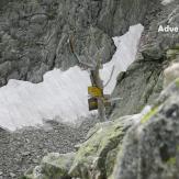 Crossing High Tatras