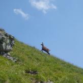 Hiking High Tatras