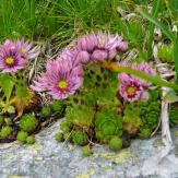 Hiking High Tatras