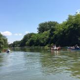 Canoeing in small Danube