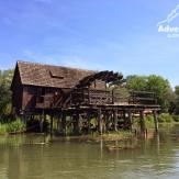 Canoeing in small Danube