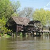 Kanufahren Kleine Donau