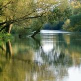 Canoeing in Small Danube