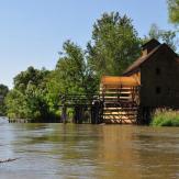 Kanufahren Kleine Donau