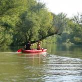 Canoeing in Mosoni Danube Arms