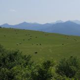 Mountain Bike Slovakia