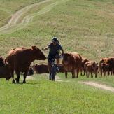 Mountain Bike Slowakei