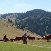 6 MTB PERLEN IN DER TATRA