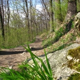 MTB in Small Carpathians