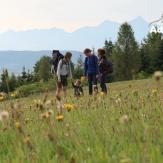 Hiking Slovak Paradise