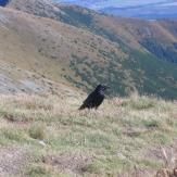 Hiking West Tatras