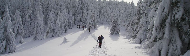 Back-country touring Slovakia